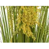 EUROPALMS umelý zväzok trstiny, 118 cm 82600136