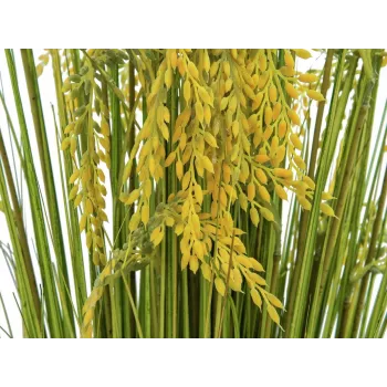 EUROPALMS umelý zväzok trstiny, 118 cm 82600136