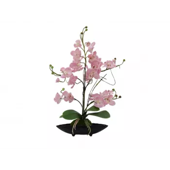 EUROPALMS aranžmán orchidey (EVA), umelý, fialový (82530339)