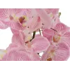EUROPALMS aranžmán orchidey (EVA), umelý, fialový (82530339)