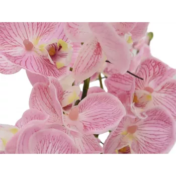 EUROPALMS aranžmán orchidey (EVA), umelý, fialový (82530339)