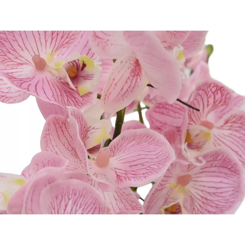 EUROPALMS aranžmán orchidey (EVA), umelý, fialový (82530339)