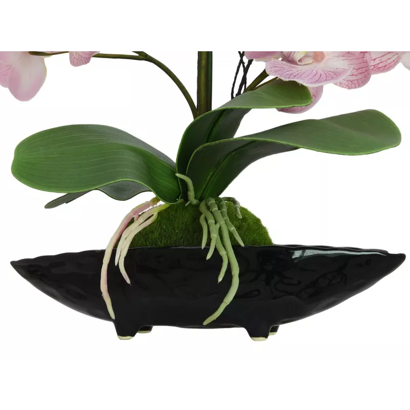 EUROPALMS aranžmán orchidey (EVA), umelý, fialový (82530339)