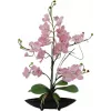 EUROPALMS aranžmán orchidey (EVA), umelý, fialový (82530339)