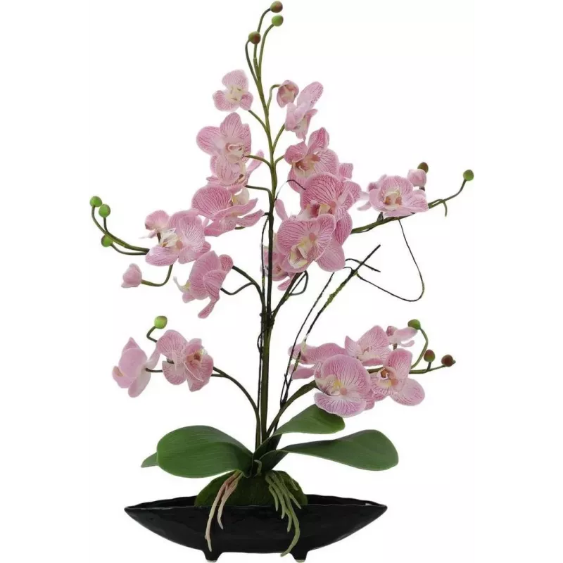 EUROPALMS aranžmán orchidey (EVA), umelý, fialový (82530339)