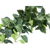 EUROPALMS Pothos závesná clona Classic, umelá, 100cm 82502203