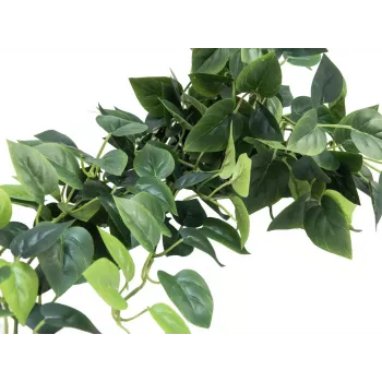 EUROPALMS Pothos závesná clona Classic, umelá, 100cm 82502203