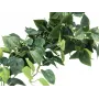 EUROPALMS Pothos závesná clona Classic, umelá, 100cm 82502203