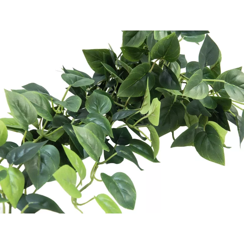 EUROPALMS Pothos závesná clona Classic, umelá, 100cm 82502203