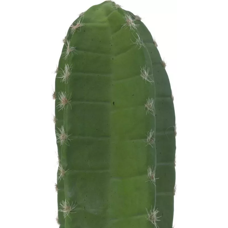 EUROPALMS mexický kaktus umelá rastlina, zelená, 97 cm 82801070