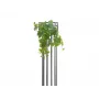 EUROPALMS Premium umelý viničový krík, 50 cm 82502513