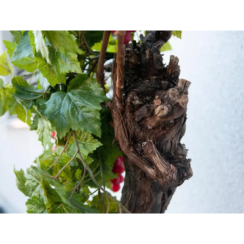EUROPALMS Premium umelý viničový krík, 50 cm 82502513