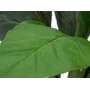 EUROPALMS umelý krík mangoldu, 45 cm, zelený 82508302