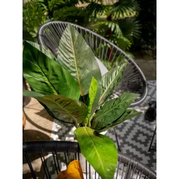 EUROPALMS umelý krík mangoldu, 45 cm, zelený 82508302