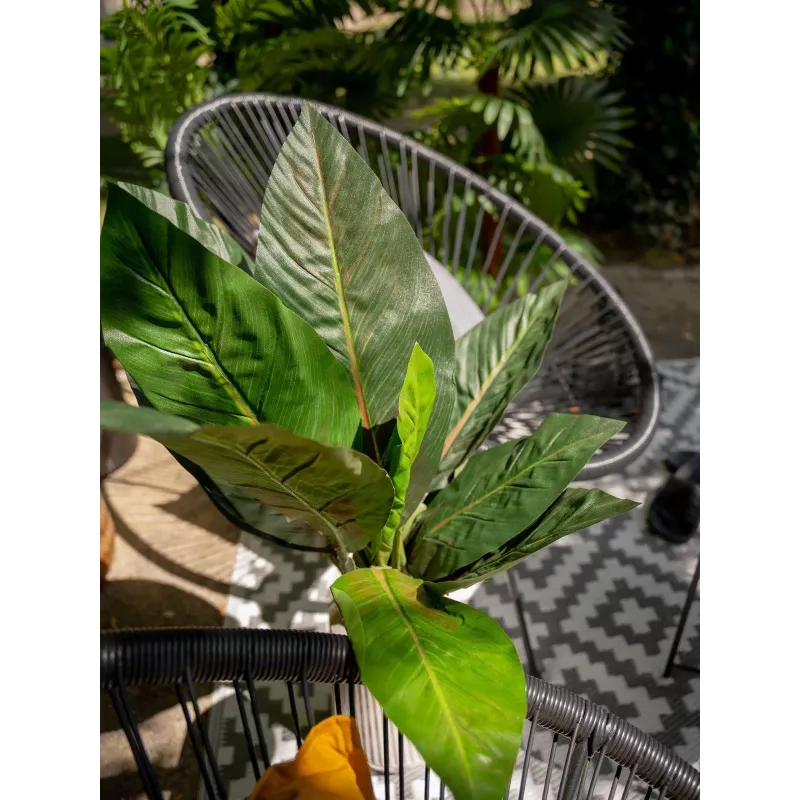 EUROPALMS umelý krík mangoldu, 45 cm, zelený 82508302