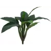 EUROPALMS umelý krík mangoldu, 45 cm, zelený 82508302