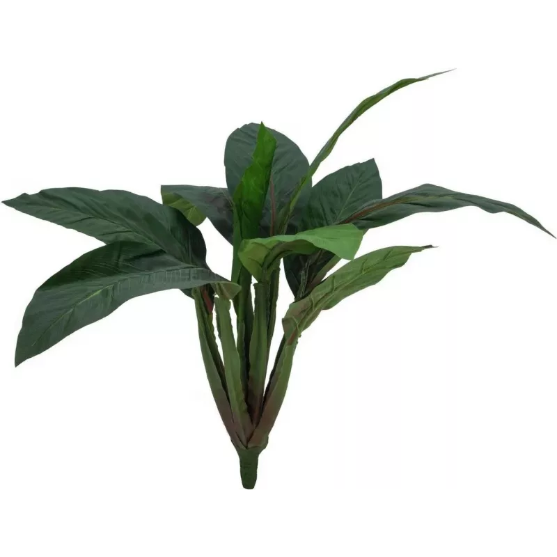 EUROPALMS umelý krík mangoldu, 45 cm, zelený 82508302