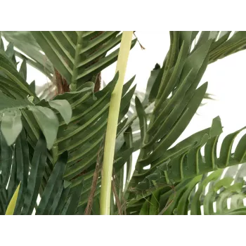 EUROPALMS umelá rastlina kentia palma 180 cm 82511367
