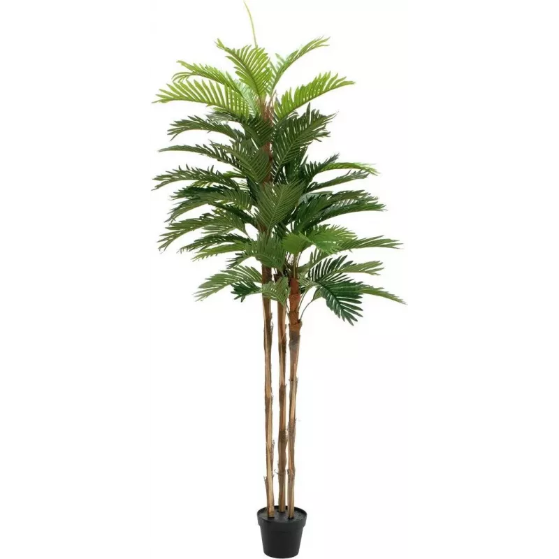 EUROPALMS umelá rastlina kentia palma 180 cm 82511367
