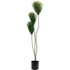 EUROPALMS umelá rastlina papyrus, 100 cm 82600234
