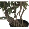 EUROPALMS umelá rastlina fikus Multi Spiral Trunk, 130 cm 82806314