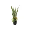 EUROPALMS umelá rastlina mix sukulentov, 190 cm 82600035
