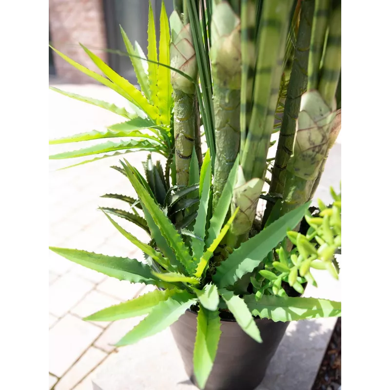 EUROPALMS umelá rastlina mix sukulentov, 190 cm 82600035