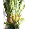 EUROPALMS umelá rastlina mix sukulentov, 190 cm 82600035