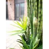 EUROPALMS umelá rastlina mix sukulentov, 190 cm 82600035
