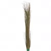 EUROPALMS umelá trstina, khaki, 127 cm 82505853