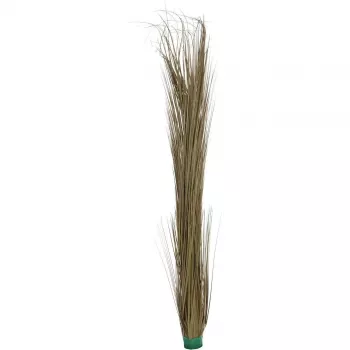 EUROPALMS umelá trstina, khaki, 127 cm 82505853