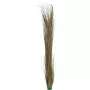 EUROPALMS umelá trstina, khaki, 127 cm 82505853