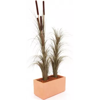 EUROPALMS umelá trstina s klasmi, tmavohnedá, 152 cm 82505857