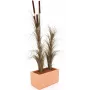 EUROPALMS umelá trstina s klasmi, tmavohnedá, 152 cm 82505857
