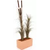 EUROPALMS umelá trstina s klasmi, tmavohnedá, 152 cm 82505857