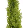 EUROPALMS umelá rastlina leylandský cyprus, 120 cm, zelené lístie, čierny kvetináč 82606964