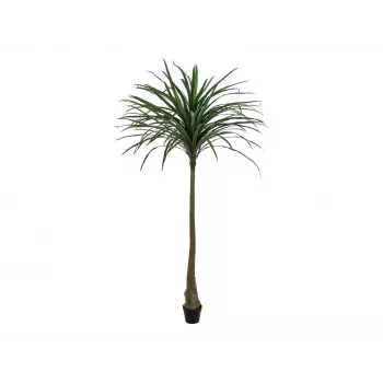 EUROPALMS Dracena umelá rastlina, zelená, 220cm 82505798