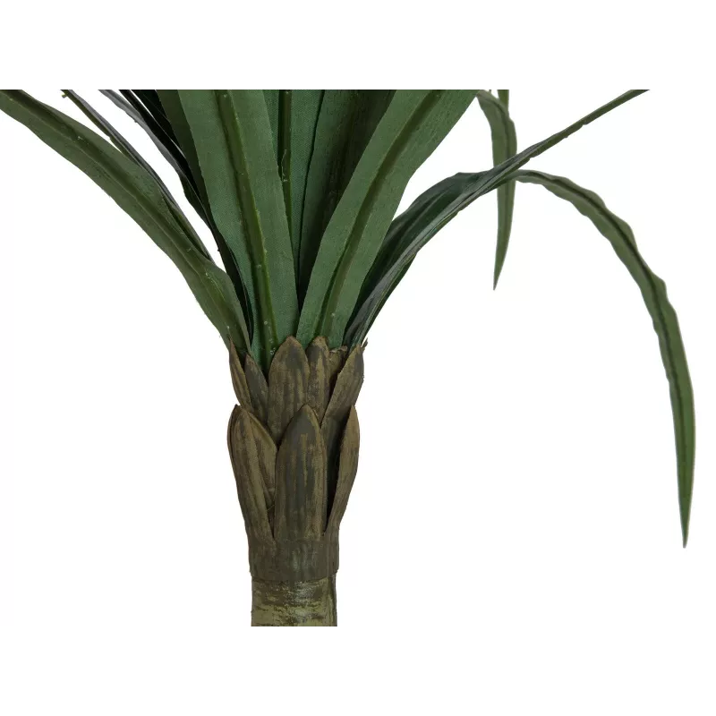 EUROPALMS Dracena umelá rastlina, zelená, 220cm 82505798