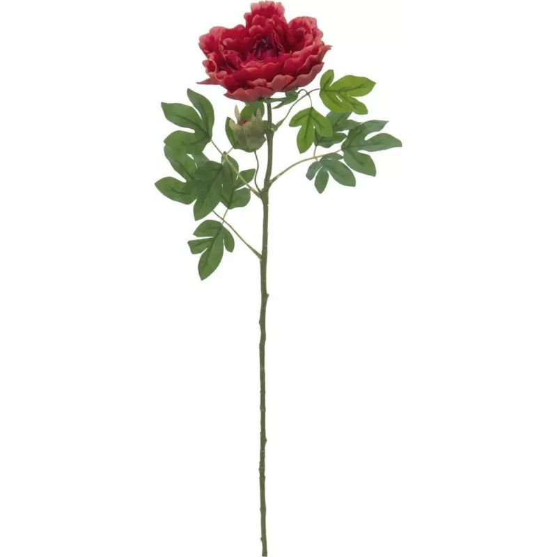 EUROPALMS Classic Peony Branch umelá rastlina, magenta, 80cm 82530211