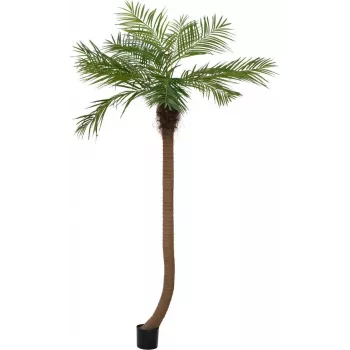 EUROPALMS Luxor zakrivená umelá phoenix palma, 240cm 82510726