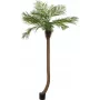 EUROPALMS Luxor zakrivená umelá phoenix palma, 240cm 82510726