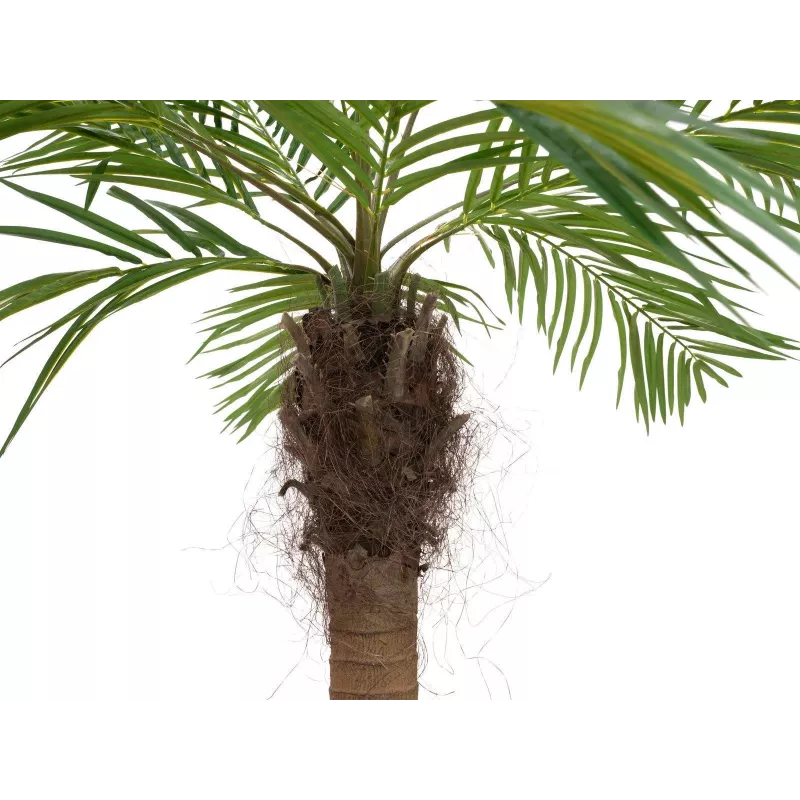 EUROPALMS Luxor zakrivená umelá phoenix palma, 240cm 82510726