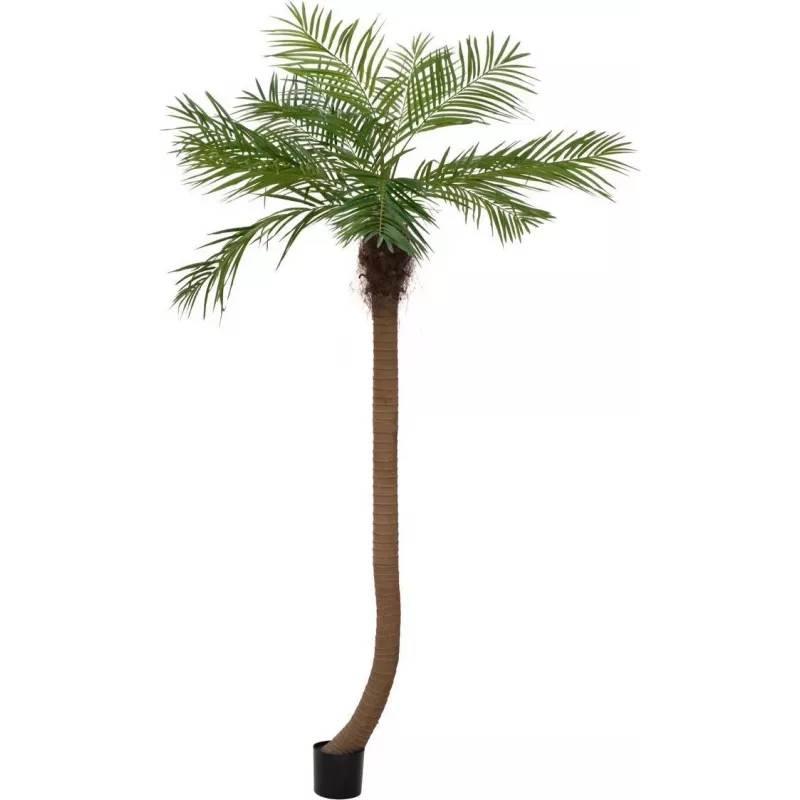 EUROPALMS Luxor zakrivená umelá phoenix palma, 240cm 82510726