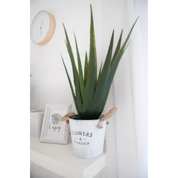 EUROPALMS umelá rastlina aloe vera, 60 cm, čierny kvetináč 82600167
