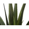 EUROPALMS umelá rastlina aloe vera, 60 cm, čierny kvetináč 82600167