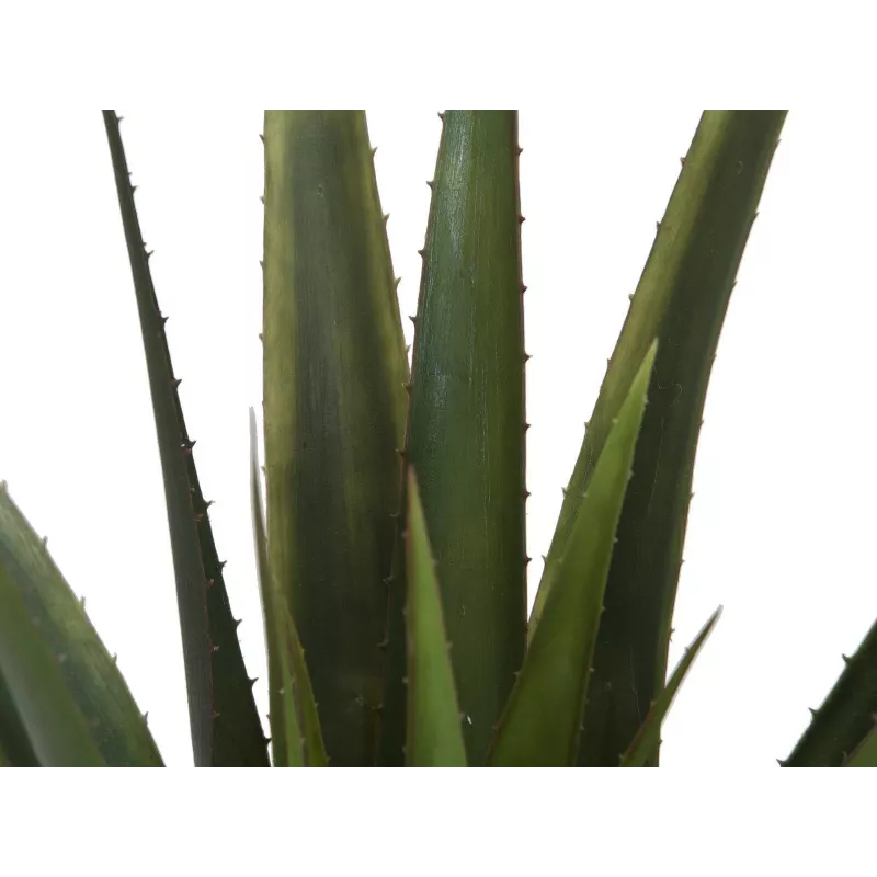 EUROPALMS umelá rastlina aloe vera, 60 cm, čierny kvetináč 82600167