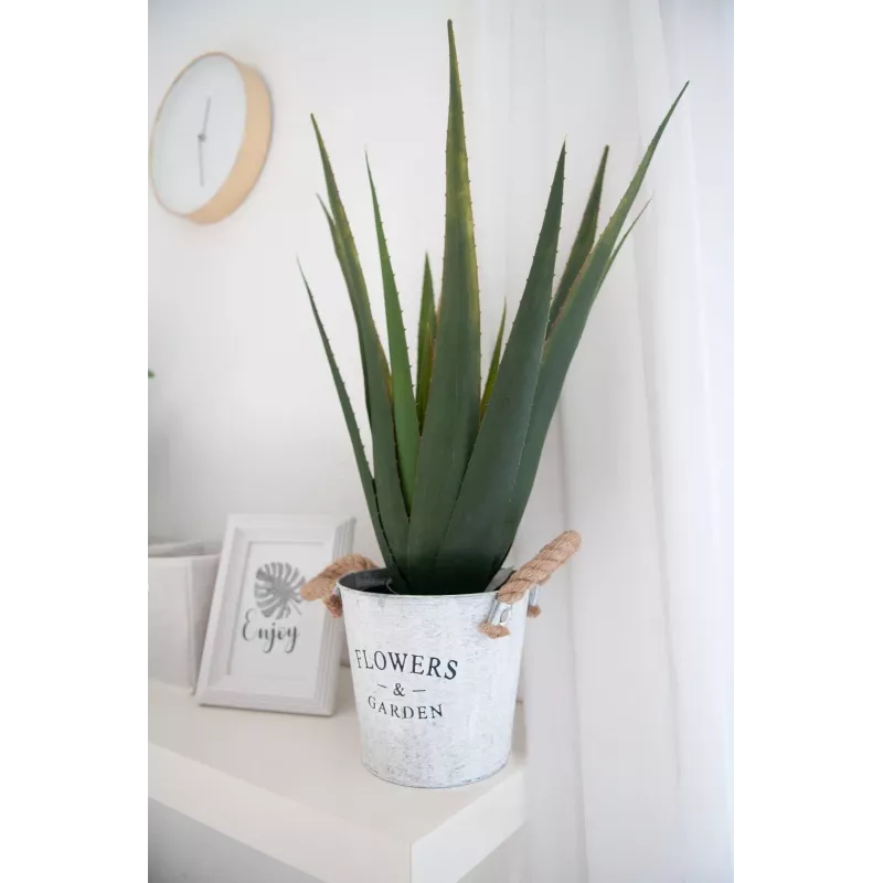 EUROPALMS umelá rastlina aloe vera, 60 cm, čierny kvetináč 82600167