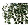 EUROPALMS Holland Ivy Hedge Screen Classic, umelá, 60cm 82502210