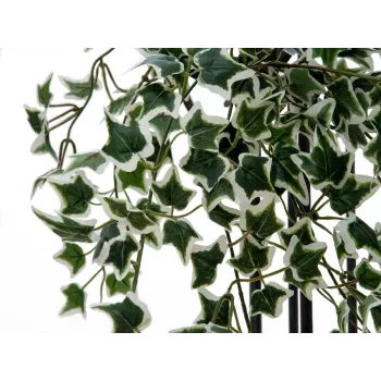 EUROPALMS Holland Ivy Hedge Screen Classic, umelá, 60cm 82502210