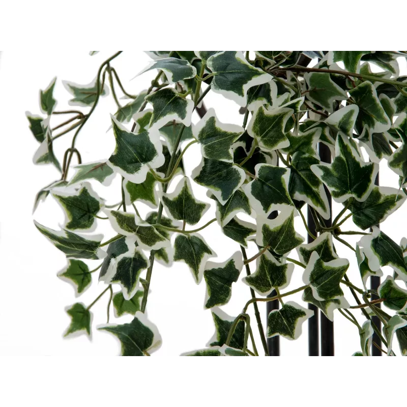 EUROPALMS Holland Ivy Hedge Screen Classic, umelá, 60cm 82502210